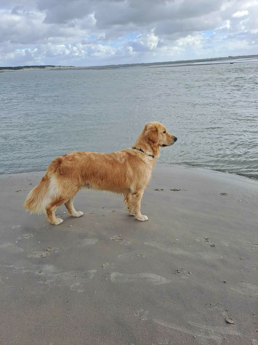 The power-of-love Des Chants De La Campagne